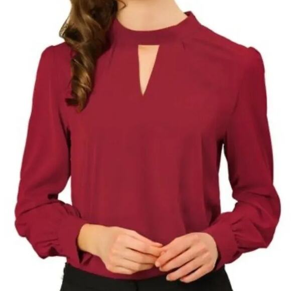Allegra K Stand Collar Long Sleeve Chiffon Burgundy Blouse, Size L, New with Tag - Picture 1 of 7